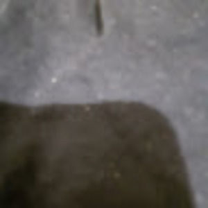 Meet your Posher, Longlivelazie